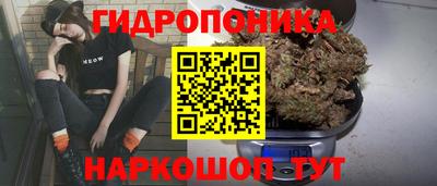 дмт Малгобек