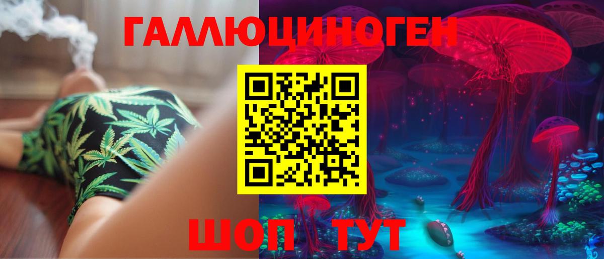 Галлюциногенные грибы Psilocybe  Вход с VPN  Энгельс 